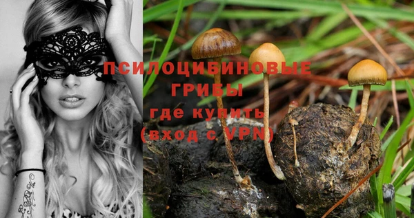 ГАЛЛЮЦИНОГЕННЫЕ ГРИБЫ Абдулино