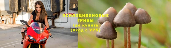 герыч Алексеевка