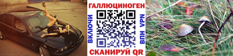 Псилоцибиновые грибы GOLDEN TEACHER  Конаково 