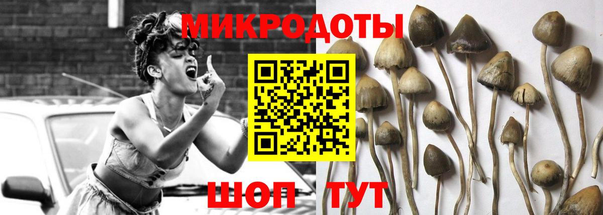 Псилоцибиновые грибы Magic Shrooms Конаково